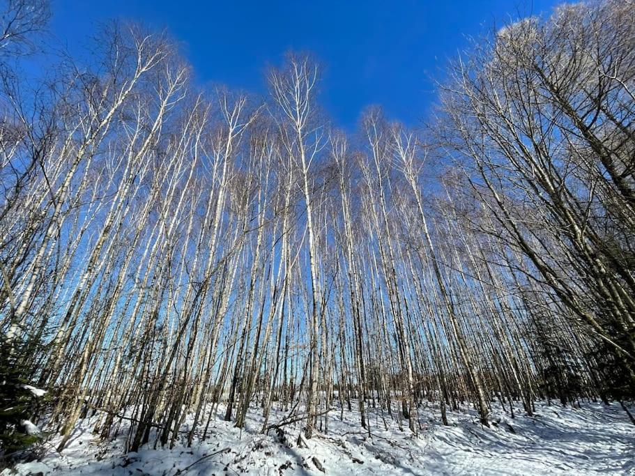 Вілла Chez Mado Fremifontaine Екстер'єр фото